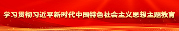 男生把鸡插入女生内部的视频学习贯彻习近平新时代中国特色社会主义思想主题教育